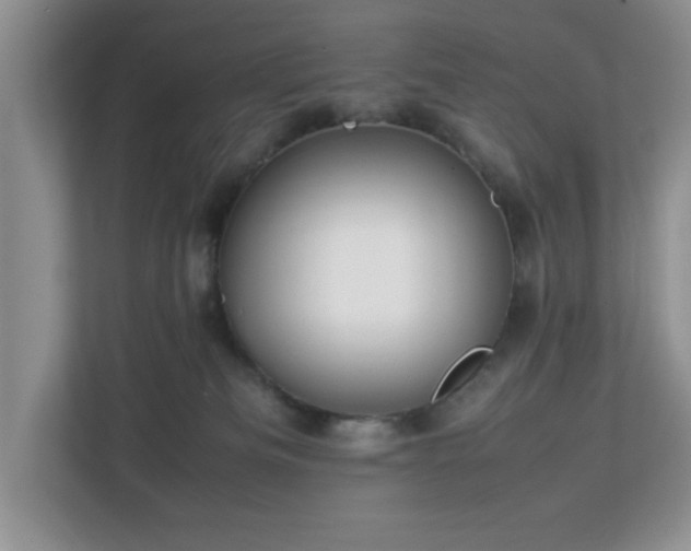 X0000113070133200909041105