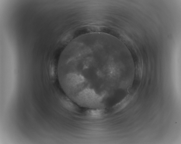 X0000113070134200909041105