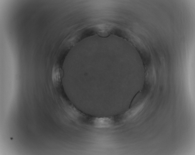 X0000113070137200909041105