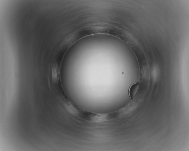 X0000113070138200909041105