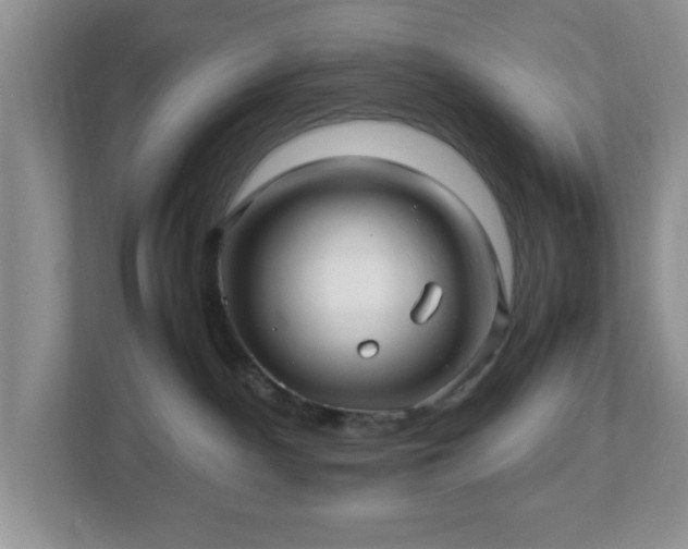 X0000113070140200909041105