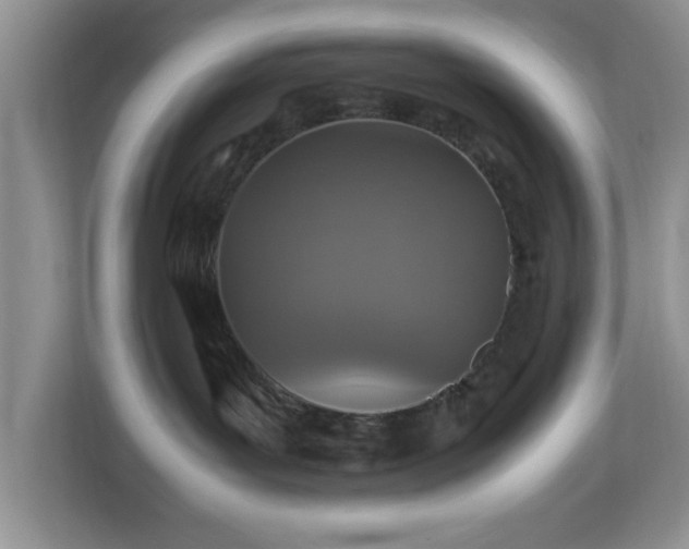 X0000113070143200909041105