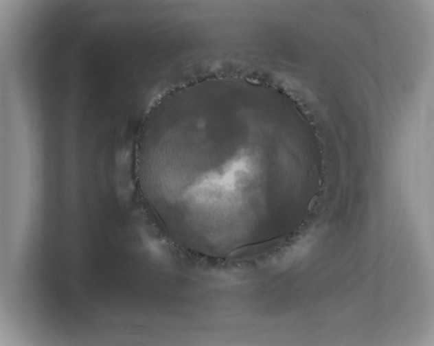 X0000113070144200909041105