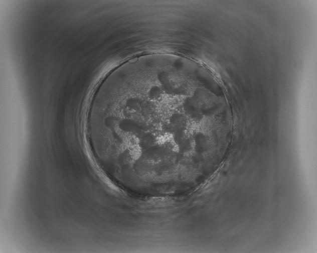 X0000113070145200909041104