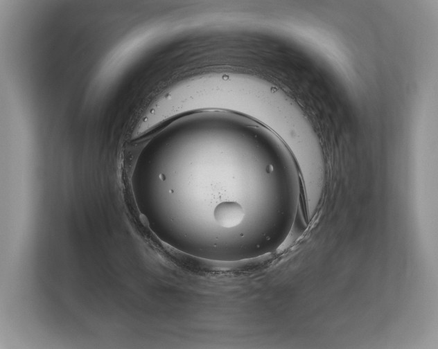 X0000113070146200909041104