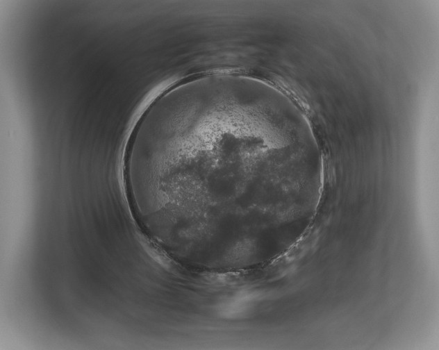 X0000113070147200909041104