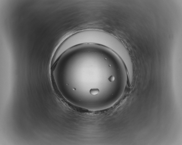 X0000113070148200909041104