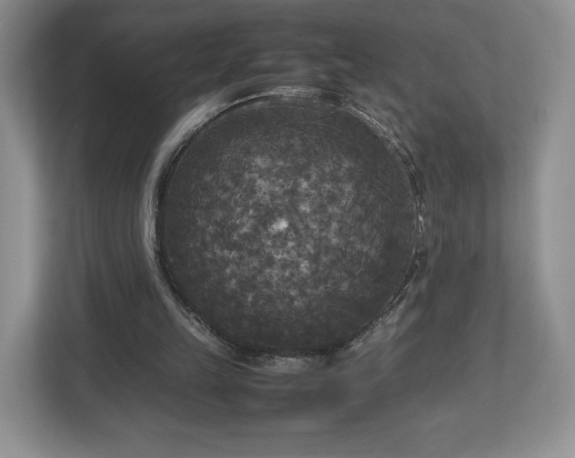 X0000113070149200909041105