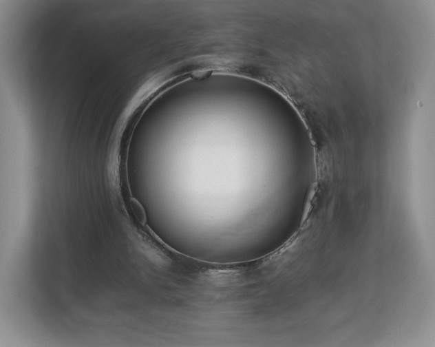 X0000113070150200909041105