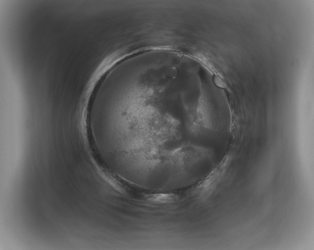 X0000113070151200909041105