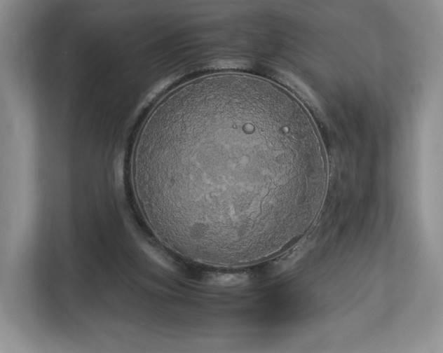 X0000113070155200909041105