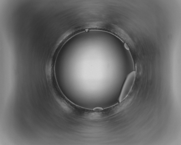 X0000113070156200909041105