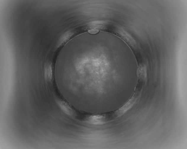 X0000113070158200909041105