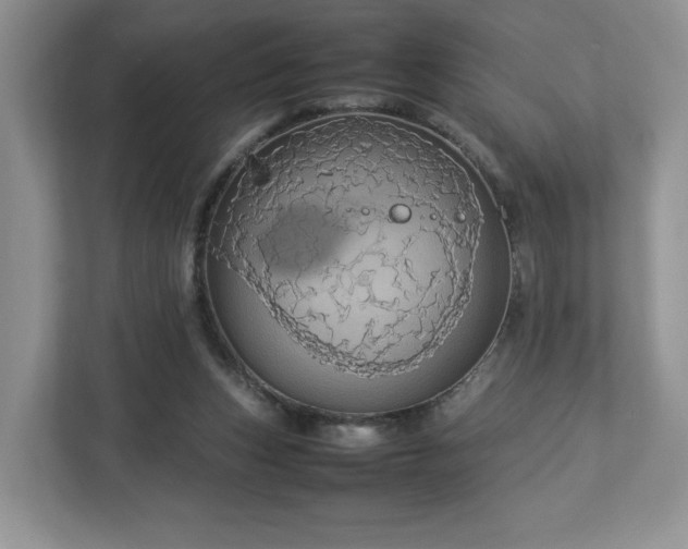 X0000113070159200909041105