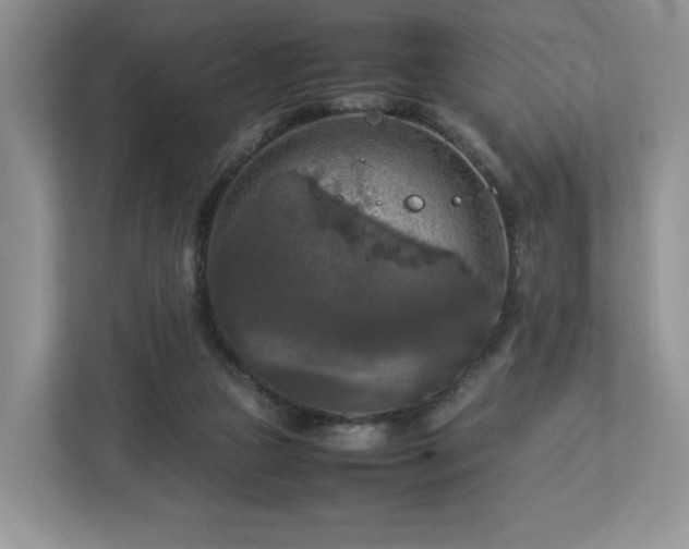 X0000113070161200909041105