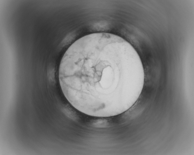 X0000113070162200909041105