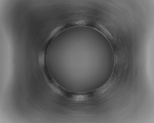 X0000113070163200909041105