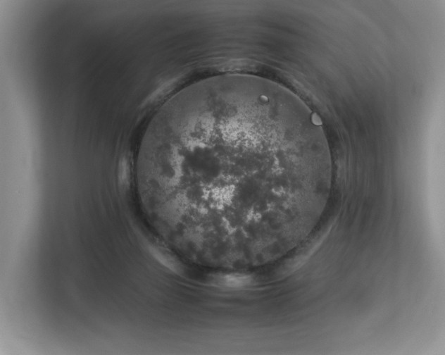 X0000113070165200909041105