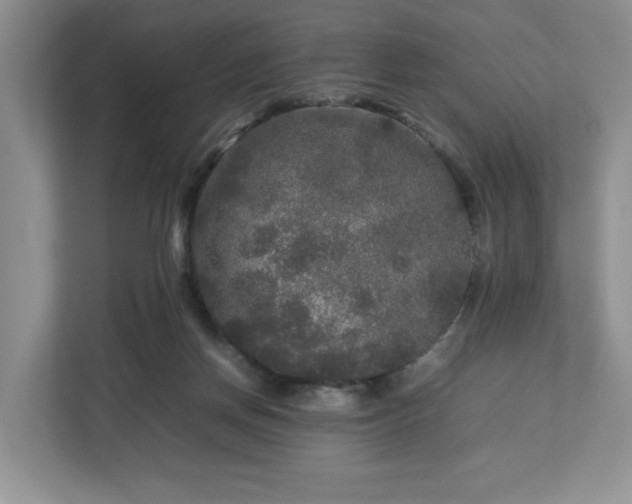 X0000113070166200909041105