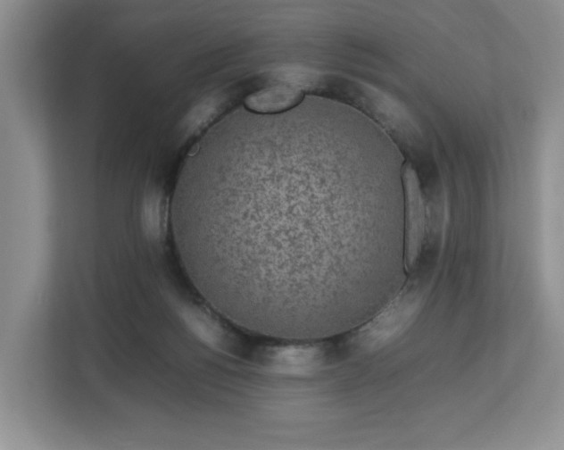 X0000113070168200909041105