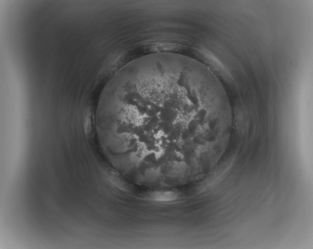 X0000113070169200909041105