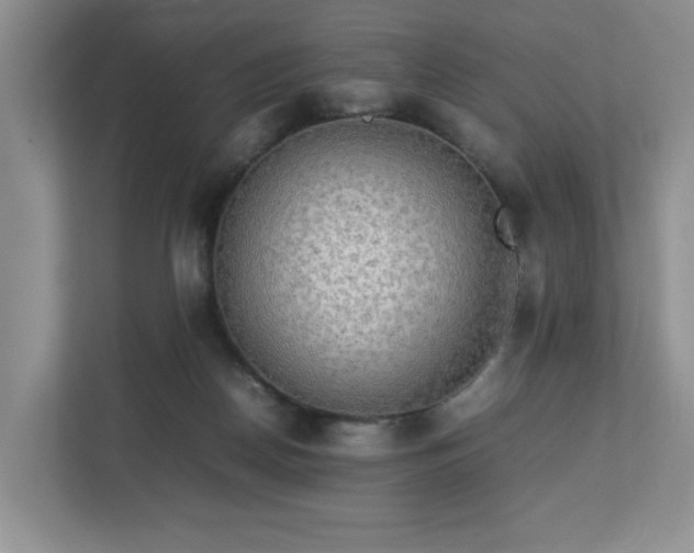 X0000113070170200909041105