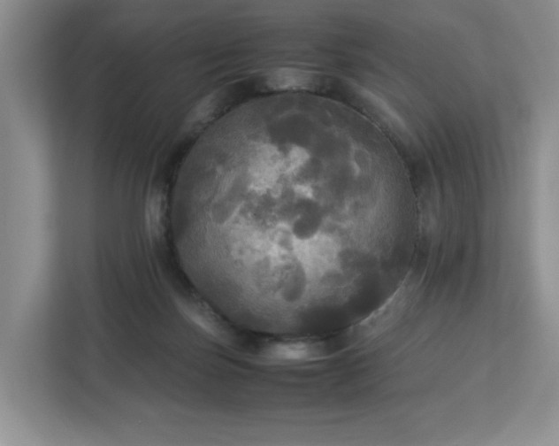 X0000113070171200909041105