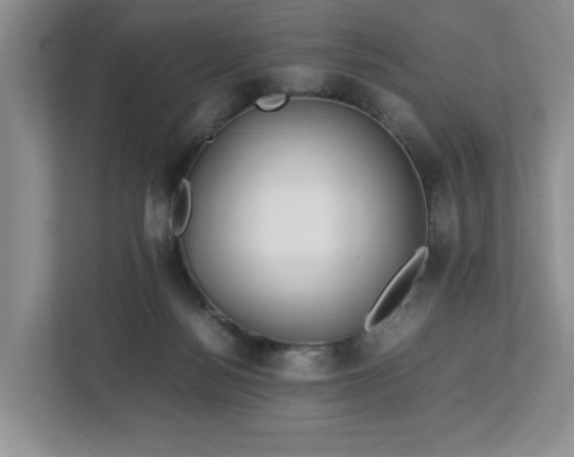 X0000113070172200909041105