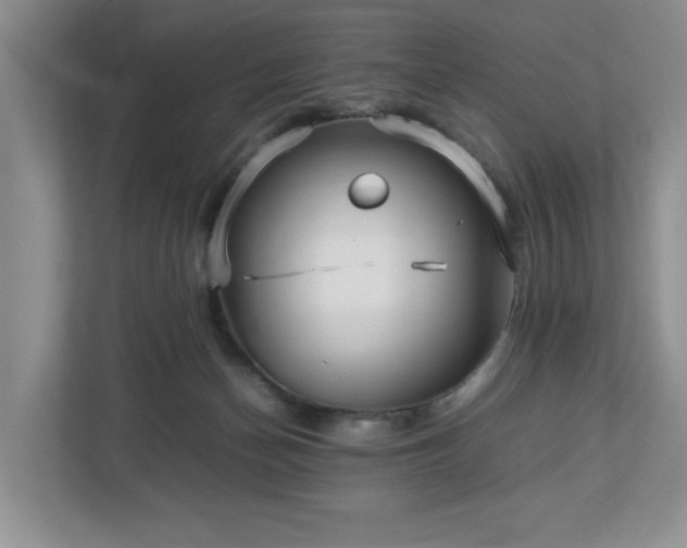 X0000113070174200909041105