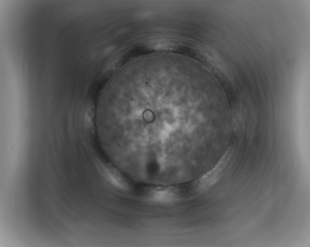 X0000113070175200909041105