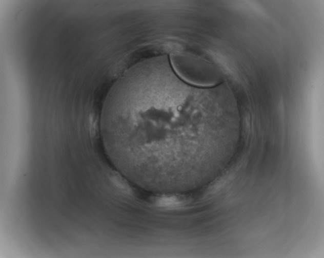 X0000113070177200909041105