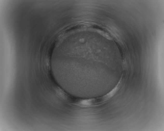 X0000113070178200909041105