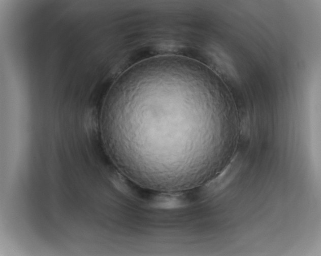 X0000113070179200909041105