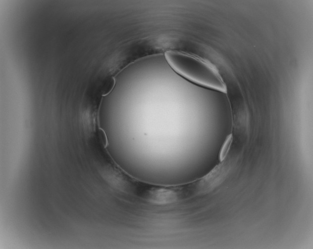 X0000113070180200909041105