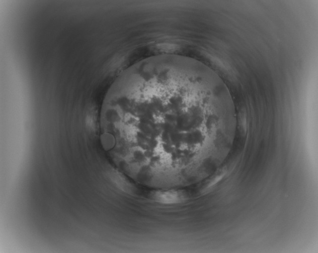 X0000113070181200909041105