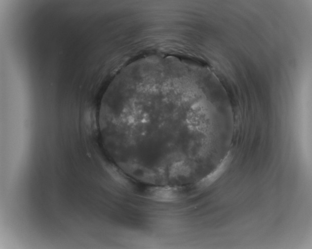 X0000113070182200909041105