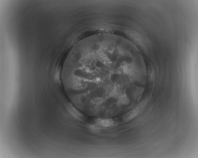 X0000113070185200909041105