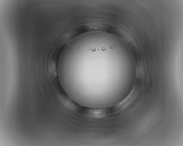 X0000113070187200909041105