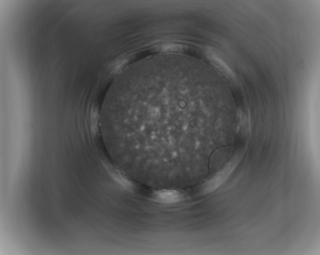 X0000113070189200909041105