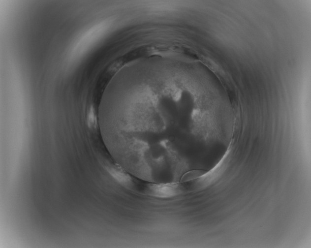 X0000113070191200909041105