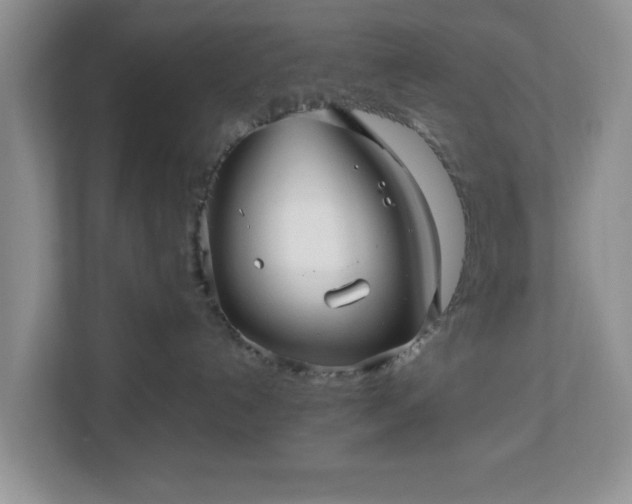 X0000113070192200909041105