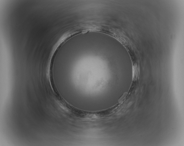 X0000113070195200909041104