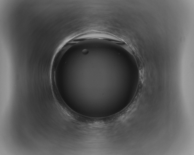 X0000113070196200909041104