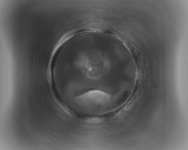 X0000113070198200909041104