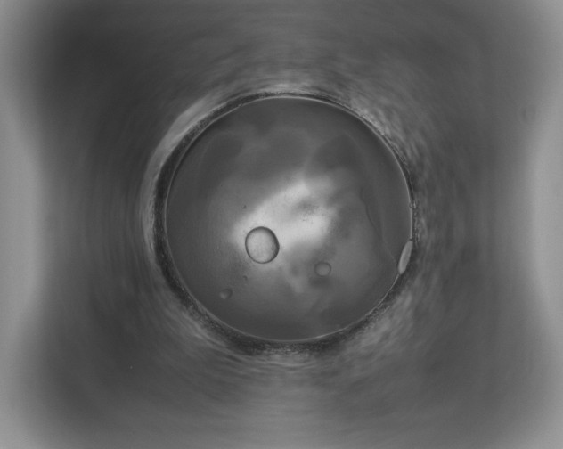 X0000113070199200909041104