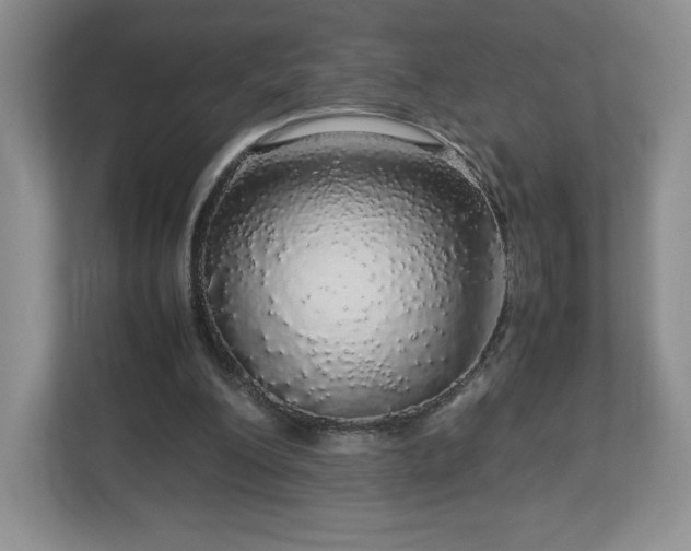 X0000113070200200909041104