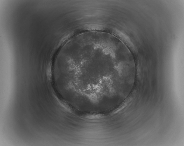 X0000113070202200909041104