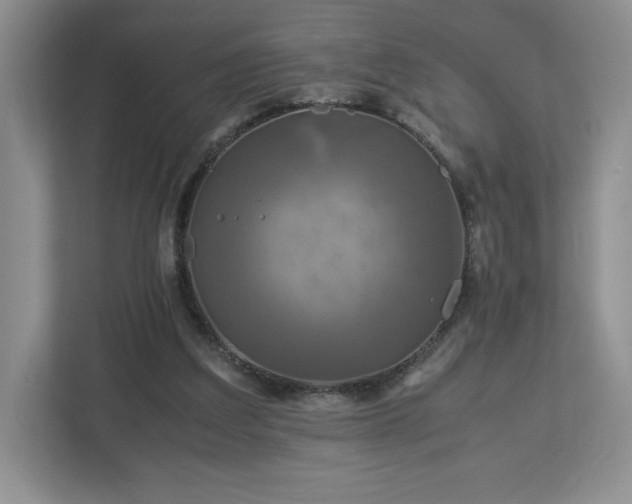 X0000113070203200909041104