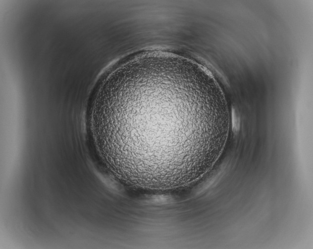 X0000113070204200909041104