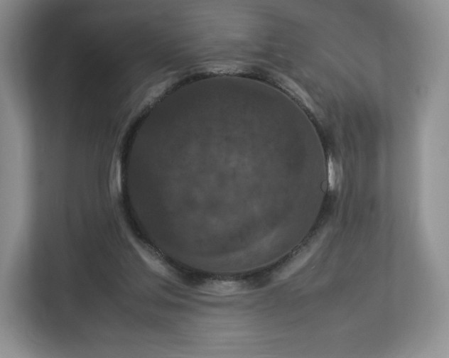 X0000113070205200909041104